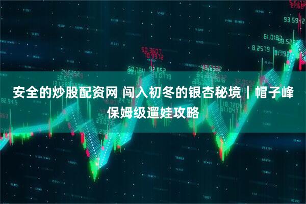 安全的炒股配资网 闯入初冬的银杏秘境｜帽子峰保姆级遛娃攻略